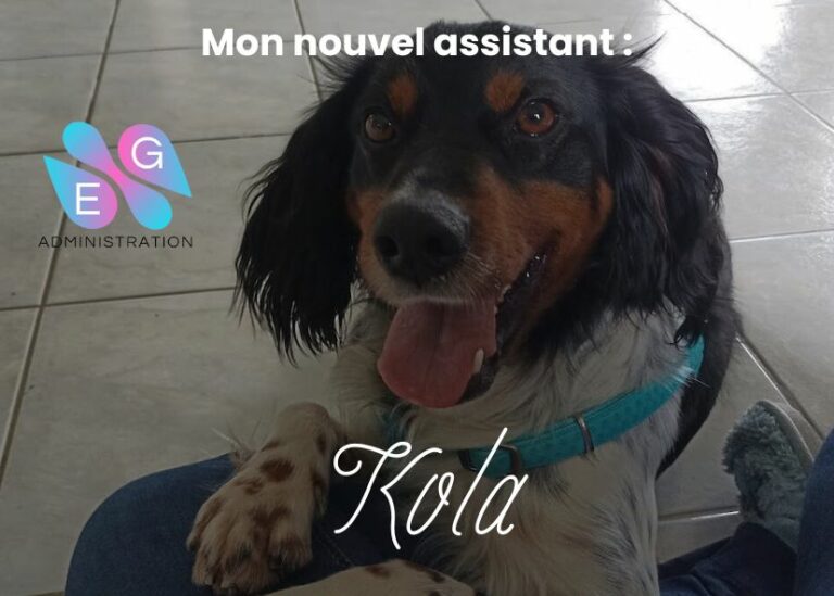 Mon nouvel assistant